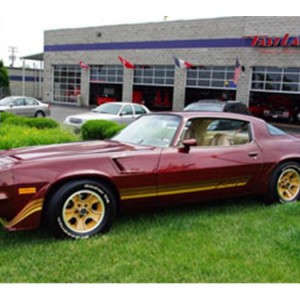 1981 chevrolet camaro photo