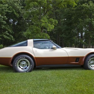 1981 chevrolet corvette photo