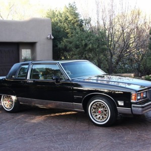 1981 pontiac firebird photo