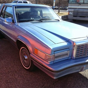 1982 ford thunderbird photo