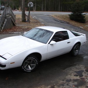 1986 pontiac firebird photo