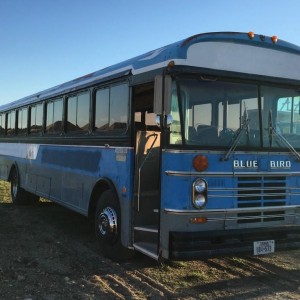 1987 blue-bird bb-conventional photo