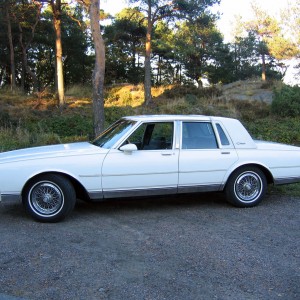 1989 chevrolet caprice photo