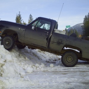 1989 dodge w-series photo