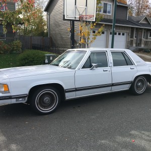 1989 ford crown-victoria photo