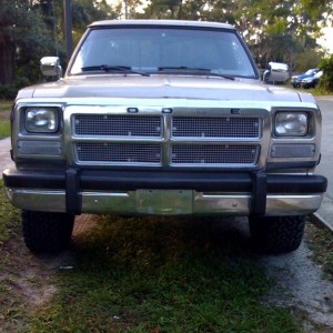 1992 dodge w-series photo
