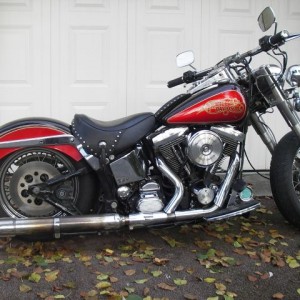 1992 harley-davidson flstc photo