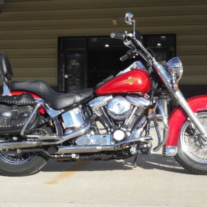 1994 harley-davidson flstc photo
