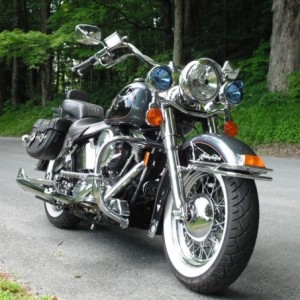 1994 harley-davidson flstn photo
