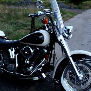 1995 harley-davidson flstn photo