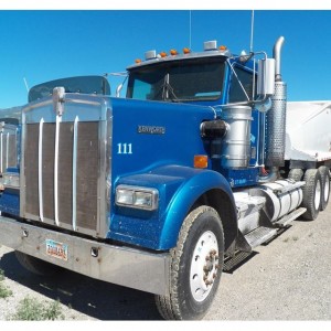 1999 kenworth w900 photo