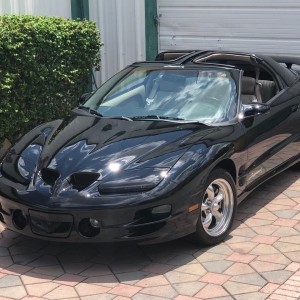 1999 pontiac firebird-formulatrans-am photo