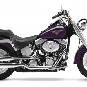 2000 harley-davidson flstf-fat-boy photo