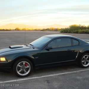 2001 ford mustang-bullitt-gt photo