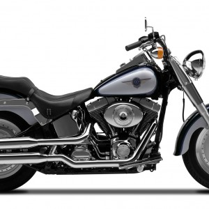 2001 harley-davidson flstfi-fat-boy photo