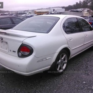 2001 nissan maxima-gxesegle20anniv photo