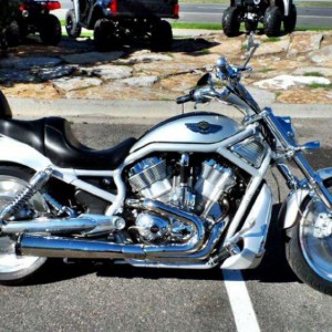 2003 harley-davidson v-rod-100th-anniversary-v-rod photo