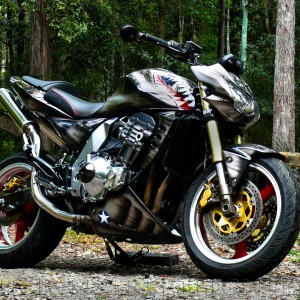 2003 kawasaki z1000 photo