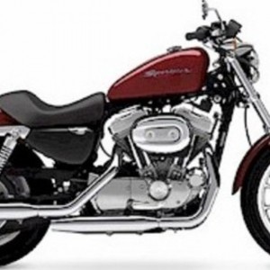 2004 harley-davidson sportster-883 photo