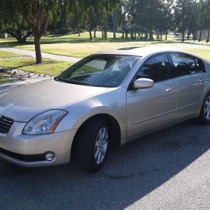 2004 nissan maxima-sesl photo