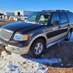 2005 ford expedition-eddie-bauer-king-ranch photo