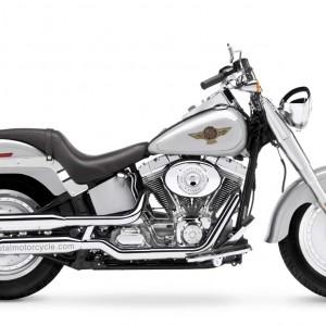 2005 harley-davidson fat-boy-anniversary photo