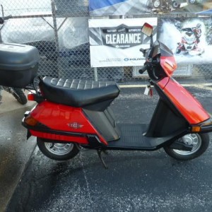 2005 honda ch80-elite photo