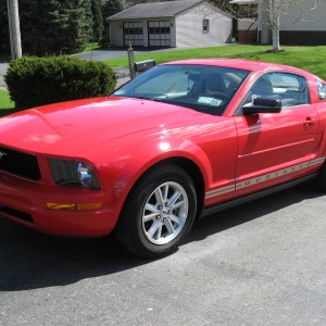 2006 ford mustang photo