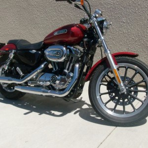 2006 harley-davidson sportster-1200-low photo