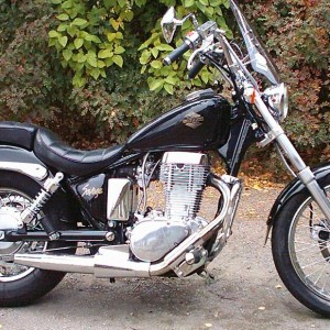 2007 suzuki ls650 photo