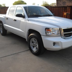2008 dodge dakota photo