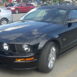 2008 ford mustang-gt photo