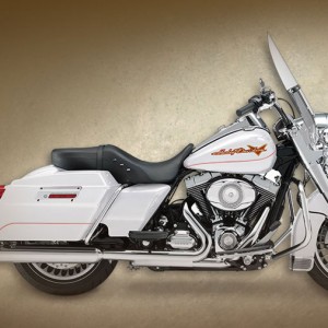 2008 harley-davidson road-king-shrine photo