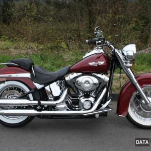 2008 harley-davidson softail-deluxe photo