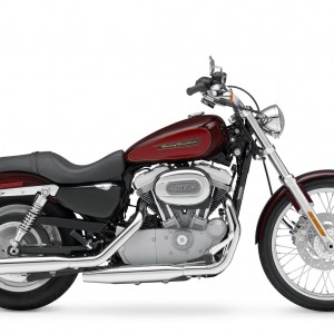 2008 harley-davidson sportster-883-custom photo
