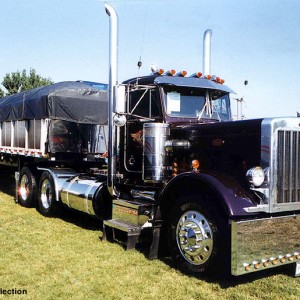 2008 peterbilt 387 photo