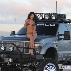 2009 ford f-450 photo