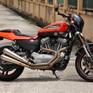 2009 harley-davidson xr1200 photo