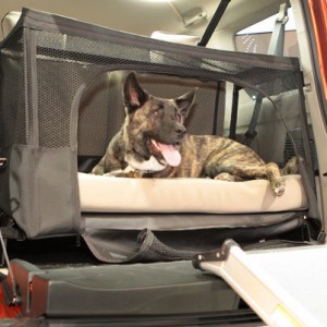 2009 honda element photo