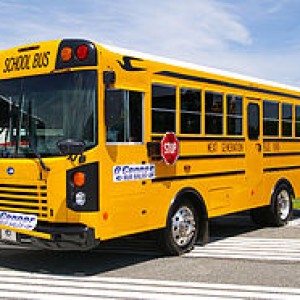 2010 blue-bird all-american-all-canada photo
