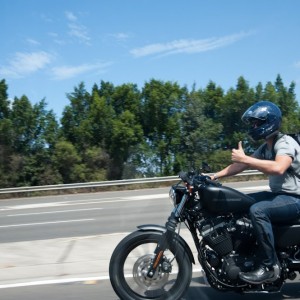 2010 harley-davidson iron883 photo