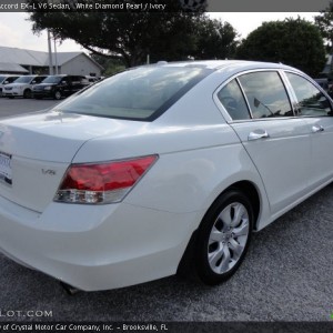 2010 honda accord-ex-l photo