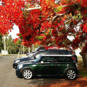 2011 mini cooper-s photo