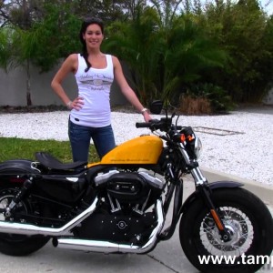2012 harley-davidson forty-eight photo