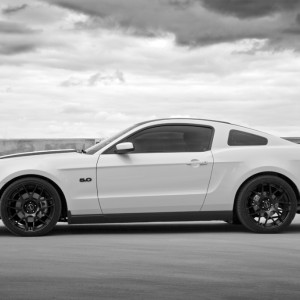 2014 ford mustang photo