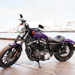 2014 harley-davidson iron883 photo