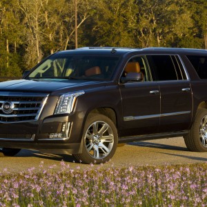 2015 cadillac escalade-esv-luxury photo