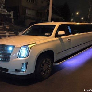 2015 cadillac stretch-limousine photo