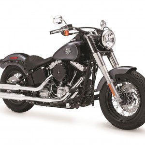 2015 harley-davidson softail-slim photo