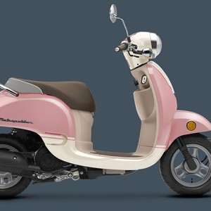 2015 honda metropolitan photo